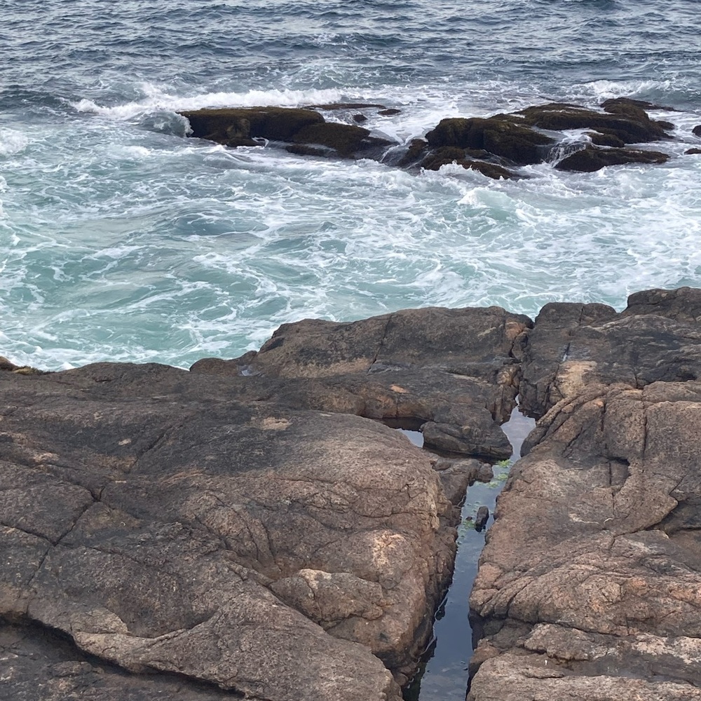 Meet your Posher, Esme